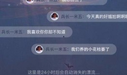 最新流浪者语音爆料视频,揭秘最新动态与幕后真相