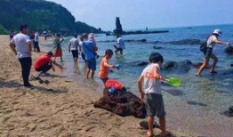 海南赶海爆料视频大全最新,揭秘最新爆料视频大全