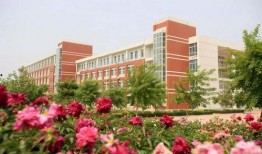 齐鲁师范最新爆料,揭秘校园风云与教育创新