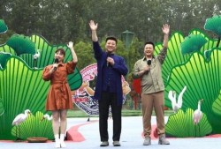 张浦彩印厂爆料视频最新,揭秘行业黑幕与环保挑战