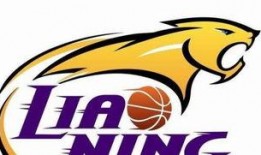 辽宁飞豹最新爆料,揭秘我国先进战机研发进展