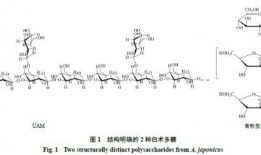 白术机制爆料最新,传统中药的现代科学解析