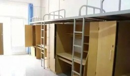 郑州大学宿舍爆料事件最新,揭秘校园生活背后真相