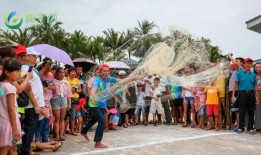 海南赶海爆料视频大全最新,揭秘最新爆料视频大全