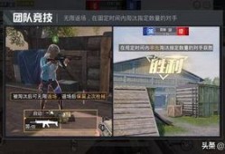 最新版和平精英爆料,全新内容与玩法大揭秘