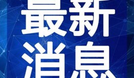武汉武哥爆料视频最新版,揭秘事件背后惊人真相
