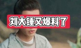 刘大锤爆料大全最新消息,揭秘娱乐圈最新热点事件