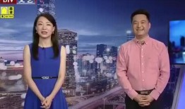 陕西大枣爆料最新消息视频,揭秘产地品质与市场动态