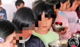 打菜侠最新爆料视频,揭秘餐饮行业惊人内幕！